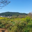 더리채공인중개사사무소 이미지