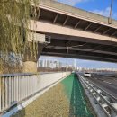 잠실우성아파트(29동앞) | 손품발품 7편- 아시아선수촌,잠실우성1,2,3차