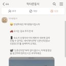 막다른둥지