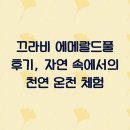 에메랄드 | 끄라비 에메랄드풀 후기, 자연 속에서의 천연 온천 체험