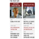 보배수산 이미지