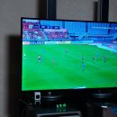 수원-1995 이미지