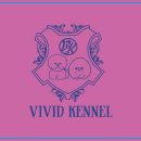 퍼피 비비드(puppy vivid) 이미지