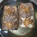 송암2농장 이미지