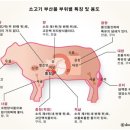 신대구막창 이미지
