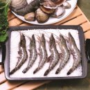 서초대로19길 10-15 이미지