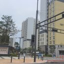 새나루 12 이미지