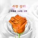 쉼표 이미지