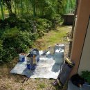 도장초등학교 병설유치원 이미지