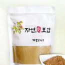 자연애보감