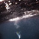 바라기펜션 이미지