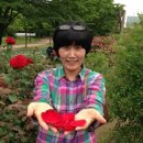 세계조경