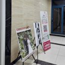 결혼만들기 | 다이렉트 결혼준비 박람회에서 드레스 상담 후기