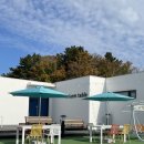 구남농장 | [포항 2박3일 여행] 여행 3일차 : 영일대~죽도시장 평남식당~죽도소년~포항역ktx