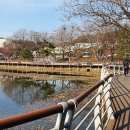 나무테크 이미지