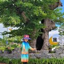 레인보우 힐링센터 이미지