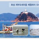 [제부마을]그물체험