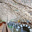 경기북부국제드론사관학교 | 2026년 4월 전국 축제 일정 인기 톱10