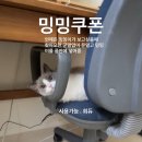 매일 너는 다른 형태의 설레임이야