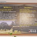 청정흑우촌 이미지