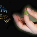 한거할머니경로당 이미지