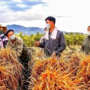 대오농장 이미지