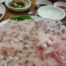 자연산회집