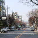 일미닭갈비파전 네이버블로그