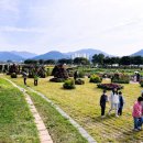 장성어린이공원 이미지