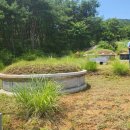 신용수목장 이미지