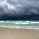 오션클럽 이미지