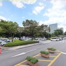 분당구청입구.수내교 이미지