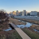 발안천 산책로 이미지