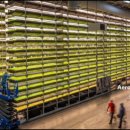 스마트농장 이미지