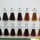 엘-샤론 - 부산진구 동평로420번길 18 | 엘-샤론