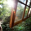 숲속 아지트 이미지