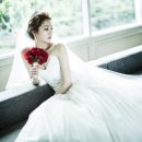 비바체(Vivace) 이미지