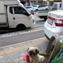 선주리들공원 이미지