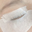 메디포올 이미지