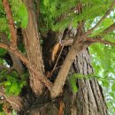 이끌공인중개사사무소 이미지