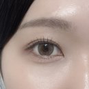 렌즈랑 | 렌즈랑 슈가크림 애쉬브라운 13.6 직경 큰 렌즈 착용 후기