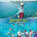 물고기(물과의 만남 | 괌 돌핀크루즈 예약 액티비티 스노클링 팁 준비물 후기