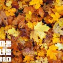 행정3길 이미지