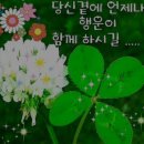[논현] 속눈썹펌 실력자 근데 이제 가성비를 곁들인, 언주역 샤인더블링