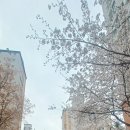 보평중학교 내 이미지