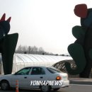 인형의 거리(원숭이 이미지