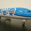 GEMINI JETS 1:200 KLM B787-10 100TH PH-BKA 이미지