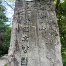 군자농업협동조합 하나로마트(본점)