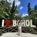 보두농장 | [Bohol] 필리핀보홀 육상투어 필수코스!(나비농장, 안경원숭이, 맨메이드숲)