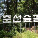 경춘선숲길 이미지